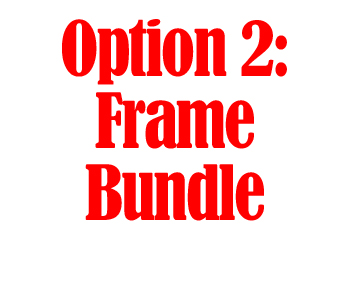 Option2: Frame Bundle